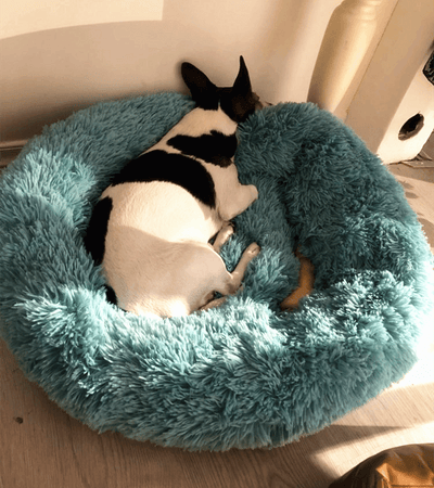 Long Plush Super Soft Dog Bed Pet Kennel Round Sleeping Bag Lounger Cat House Winter Warm Sofa Basket for Small Medium Large Dog - GeePaws