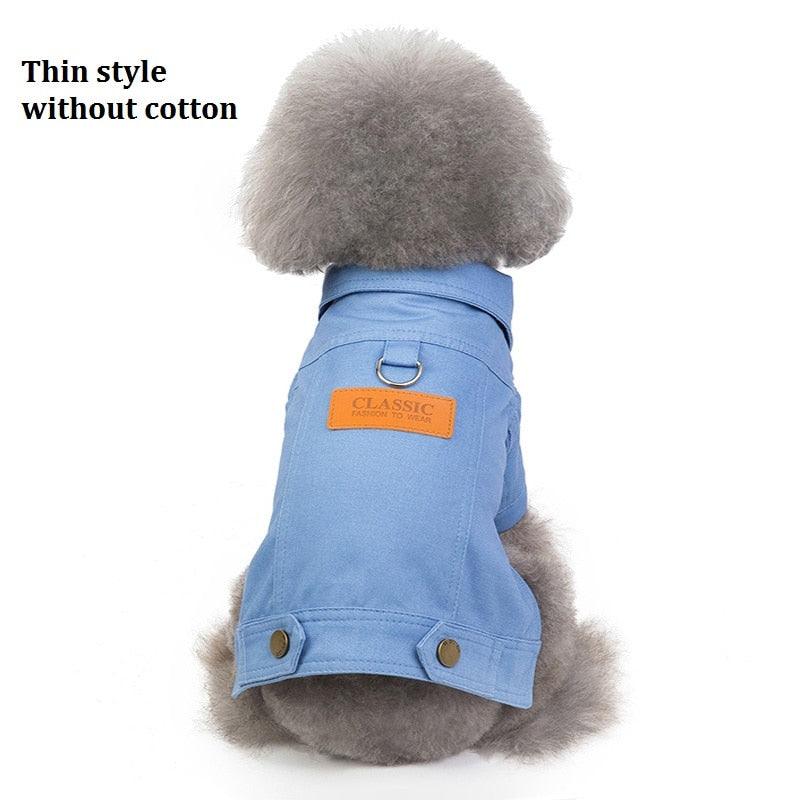 Luxury Winter Dog Jacket - GeePaws