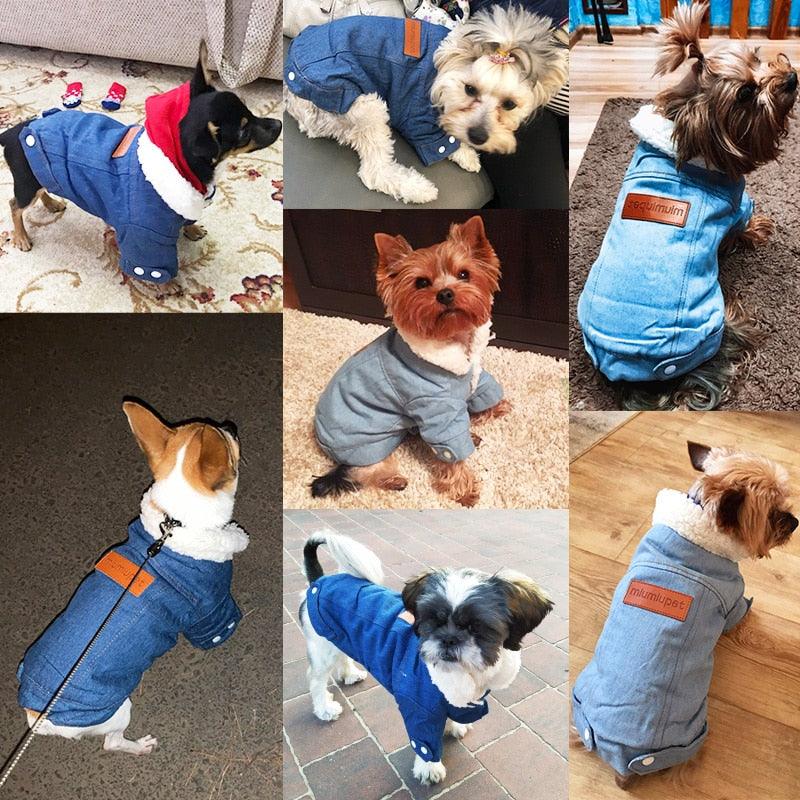 Luxury Winter Dog Jacket - GeePaws