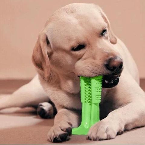 Meat-Flavored Dog Toothbrush - GeePaws