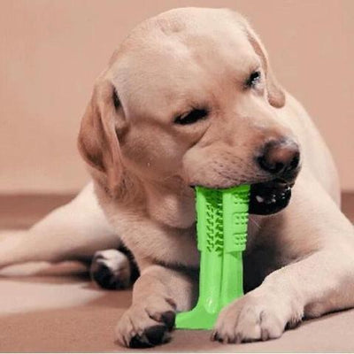 Meat-Flavored Dog Toothbrush - GeePaws